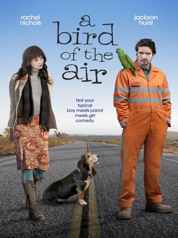 A Bird of the Air (2011) poster