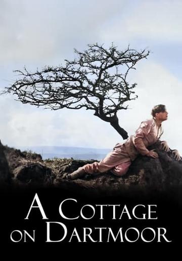 A Cottage on Dartmoor (1929) poster