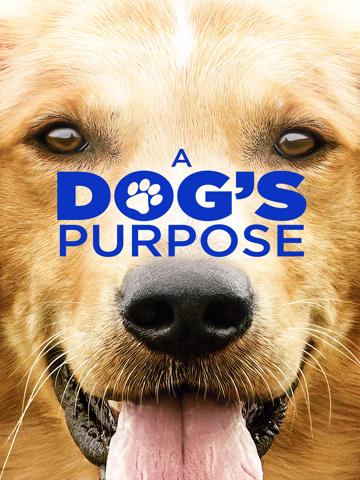 A Dog's Purpose (2017) poster