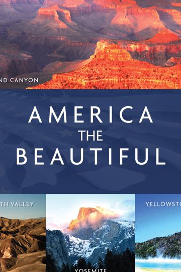 America The Beautiful (2008) poster