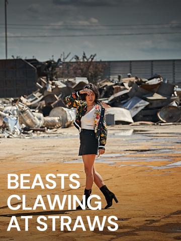 Beasts Clawing at Straws (2020) poster