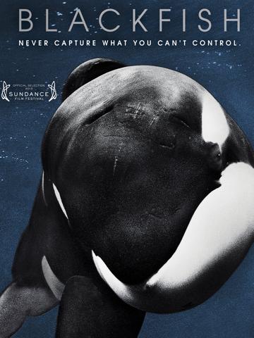 Blackfish (2013) poster