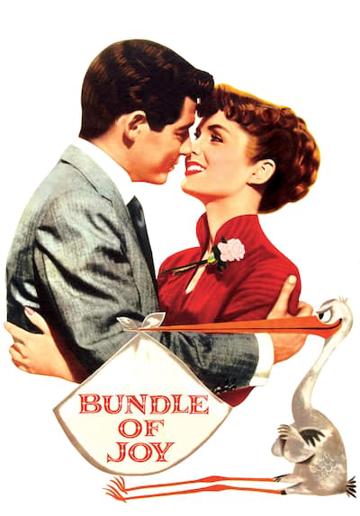 Bundle of Joy (1956) poster
