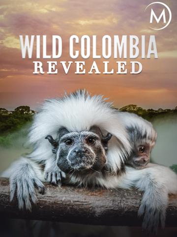 Colombia: Wild Magic (2015) poster