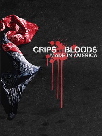 Crips and Bloods: Made in America (2009) poster