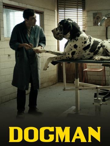 Dogman (2018) poster