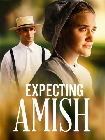 Expecting Amish (2014) poster