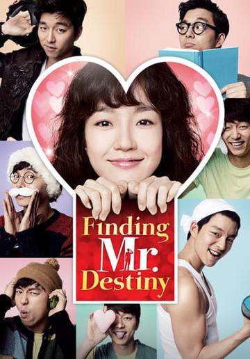 Finding Mr. Destiny (2010) poster
