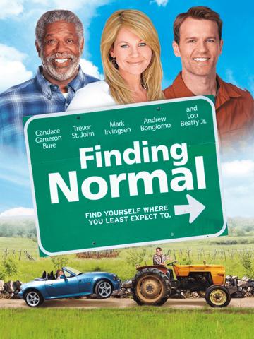 Finding Normal (2013) poster