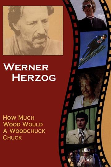 How Much Wood Would a Woodchuck Chuck (1976) poster