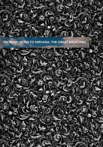 Neurons to Nirvana (2013) poster