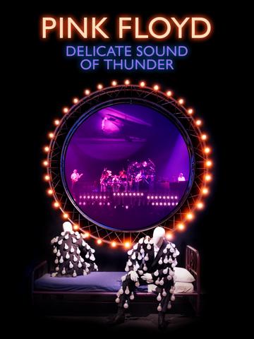 Pink Floyd: Delicate Sound of Thunder (1989) poster