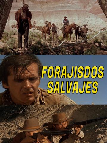 Ride in the Whirlwind (1966) poster