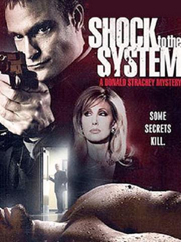 Shock to the System: A Donald Strachey Mystery (2006) poster