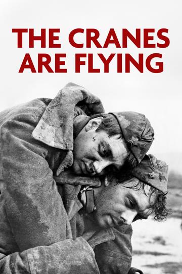The Cranes Are Flying (1957) poster