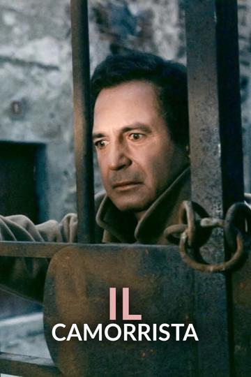 The Professor (1986) poster