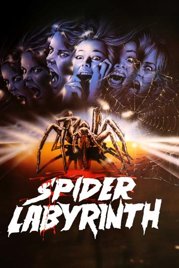 The Spider Labyrinth (1988) poster